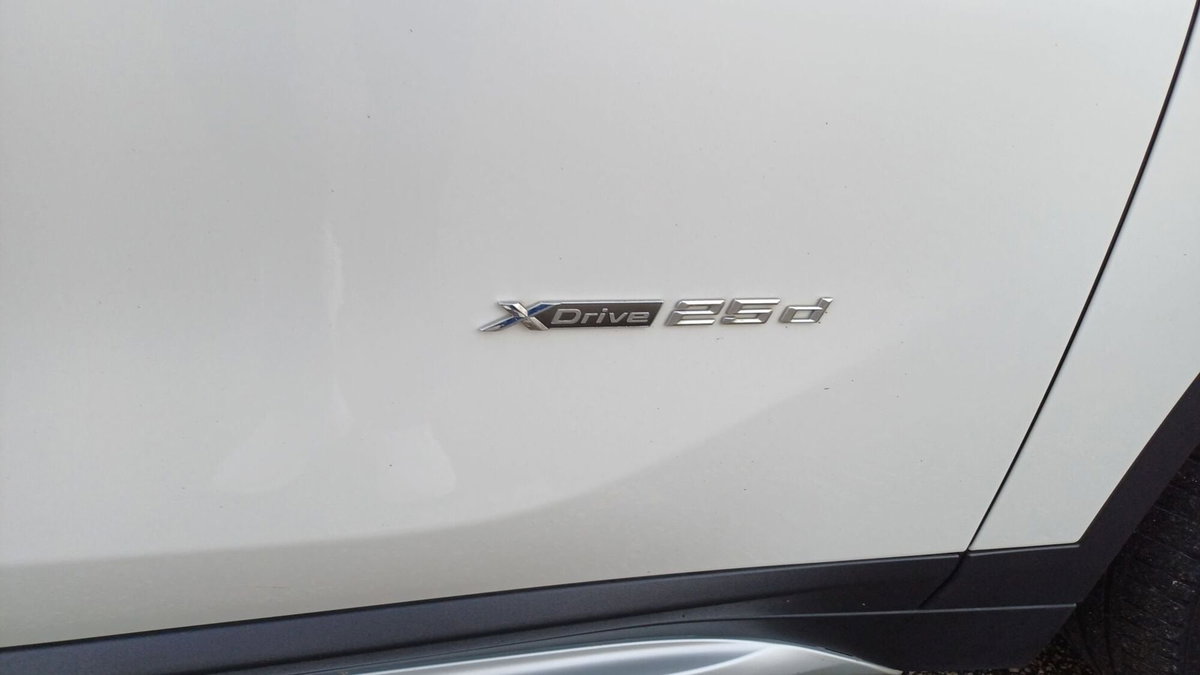 BMW X1 xDrive25d xLine (8)