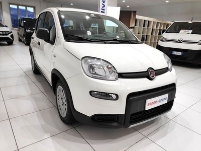 Fiat Panda Cross Cross 1.0 FireFly S&S Hybrid usata