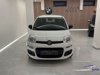 Fiat Panda Cross Cross 1.0 FireFly S&S Hybrid usata