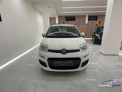Fiat Panda 1.2 Easy usata