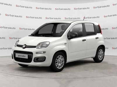 Fiat Panda 1.0 firefly hybrid Icon s&s 70cv nuova