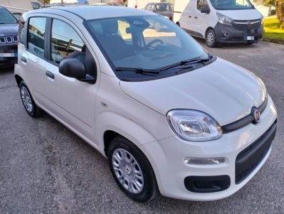 Fiat Panda 1.0 firefly hybrid s&s 70cv 5p.ti (3)