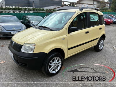 Fiat Panda 1.2 4x4 usata