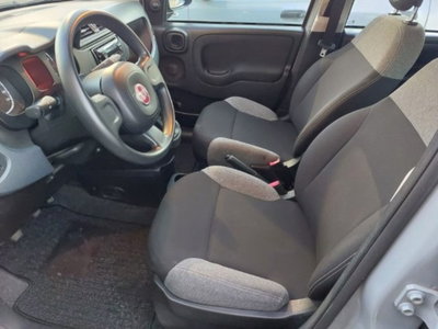 Fiat Panda 1.0 firefly hybrid s&s 70cv 5p.ti (13)