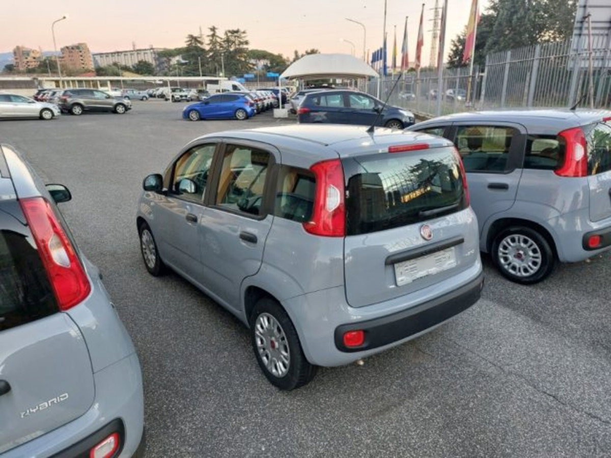 Fiat Panda 1.0 firefly hybrid s&s 70cv 5p.ti (4)