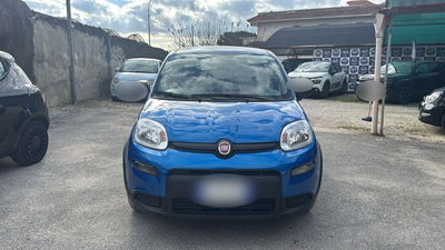 Fiat Panda Cross Cross 1.0 FireFly S&S Hybrid usata