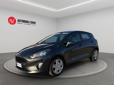 Ford Fiesta 1.5 TDCi 75CV 5 porte Titanium usata
