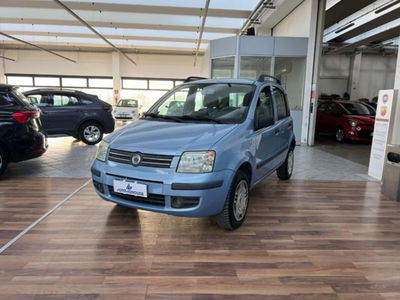 Fiat Panda 1.2 Dynamic Natural Power usata