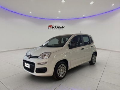 Fiat Panda 1.2 EasyPower Easy usata
