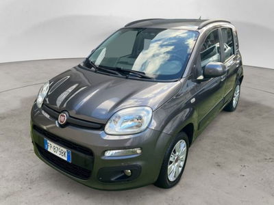 Fiat Panda 1.2 Lounge usata