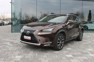 Lexus NX Hybrid (2)