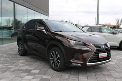 Lexus NX Hybrid (3)