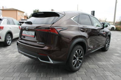 Lexus NX Hybrid (4)