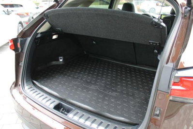 Lexus NX Hybrid (9)