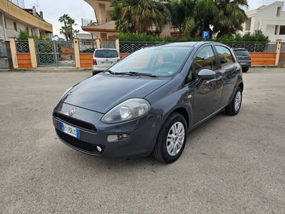 Fiat Punto 1.4 8V 5 porte Natural Power Street usata