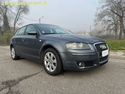Audi A3 2.0 16V TDI Ambition usata