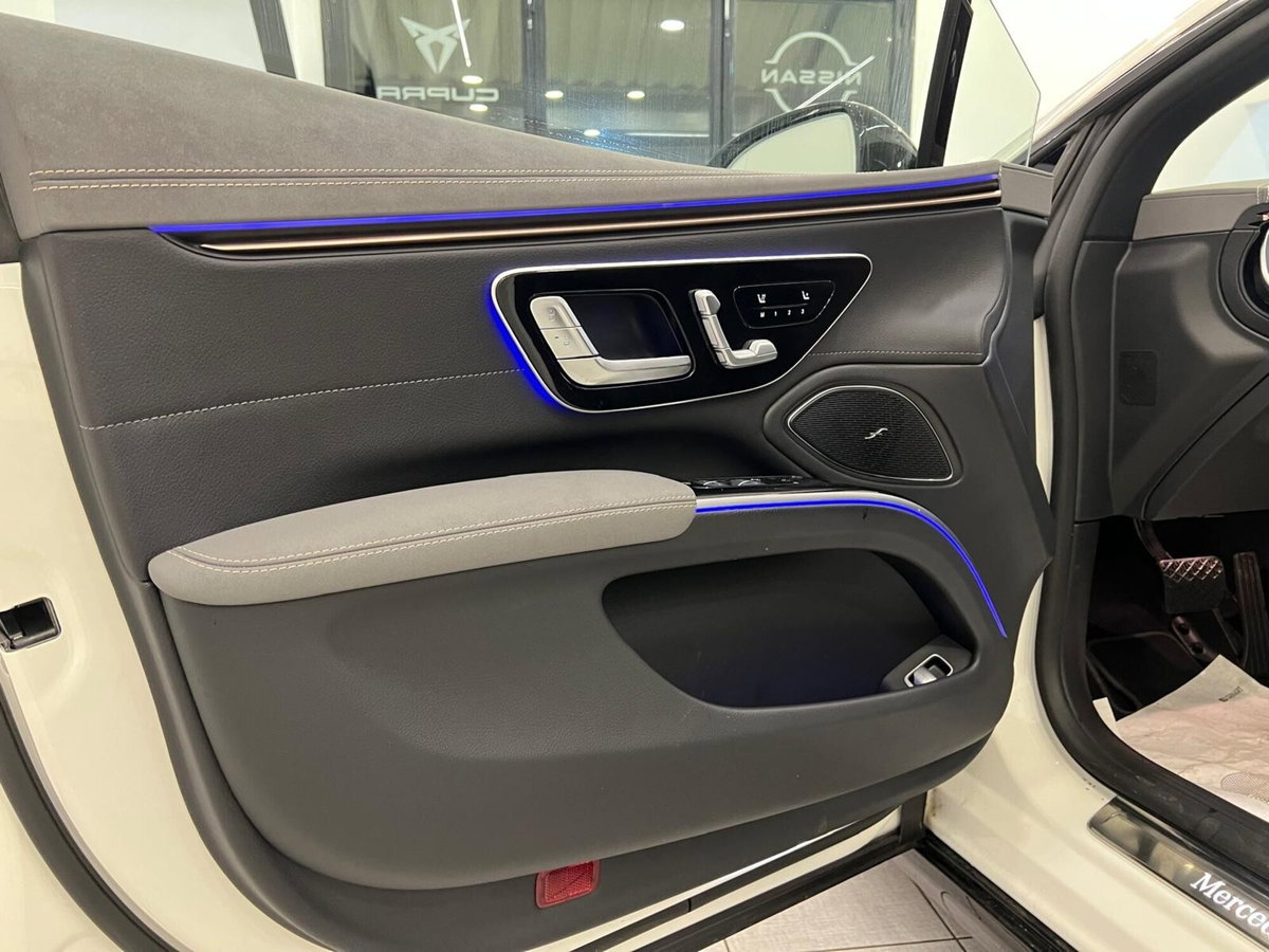 Mercedes-Benz EQS 350 Luxury (20)