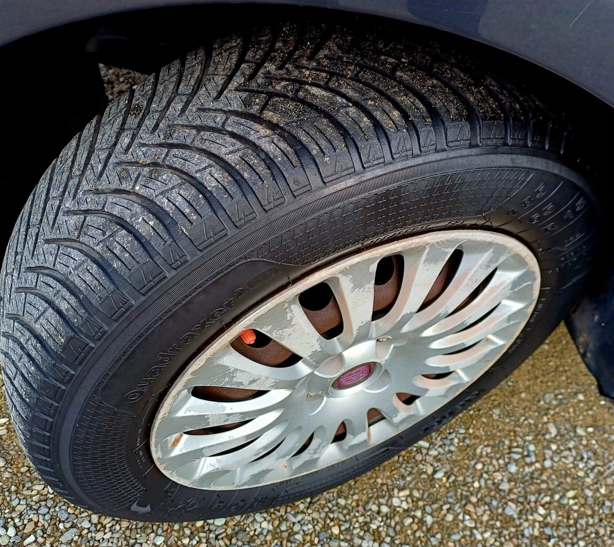 Fiat Punto Evo 1.2 5 porte S&S Dynamic (14)