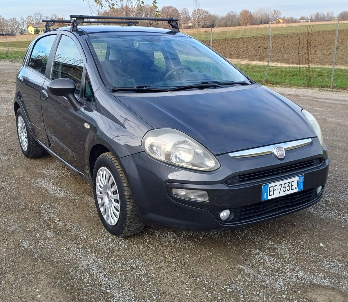 Fiat Punto Evo 1.2 5 porte S&S Dynamic (2)