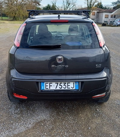 Fiat Punto Evo 1.2 5 porte S&S Dynamic (5)