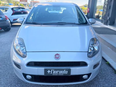 Fiat Punto 1.2 8V 5 porte Lounge usata