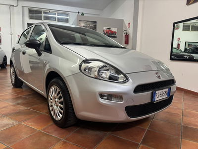 Fiat Punto 1.2 8V 5 porte Street usata