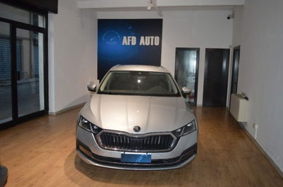 Skoda Octavia Station Wagon 2.0 TDI EVO SCR 150 CV DSG 4x4 Wagon Executive usata