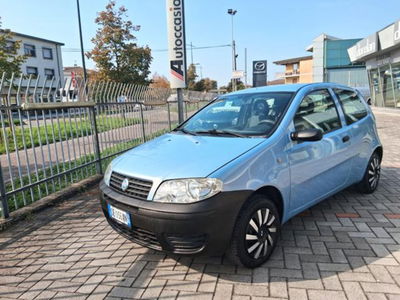 Fiat Punto 1.2 3 porte Dynamic usata