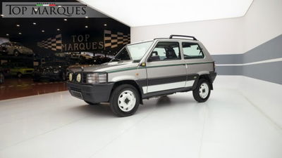Fiat Panda 1100 i.e. cat 4x4 usata