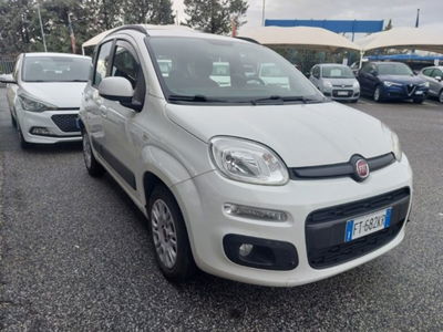 Fiat Panda 1.2 Lounge usata