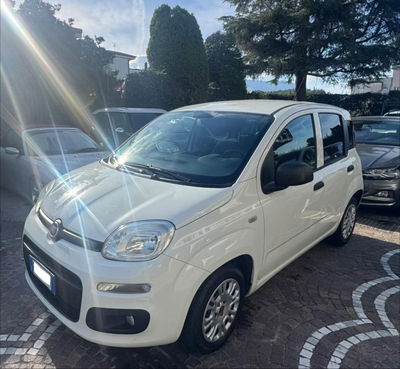 Fiat Panda 1.3 MJT 80 CV S&S Lounge usata