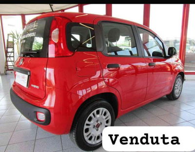 Fiat Panda 1.0 firefly hybrid s&s 70cv 5p.ti usata