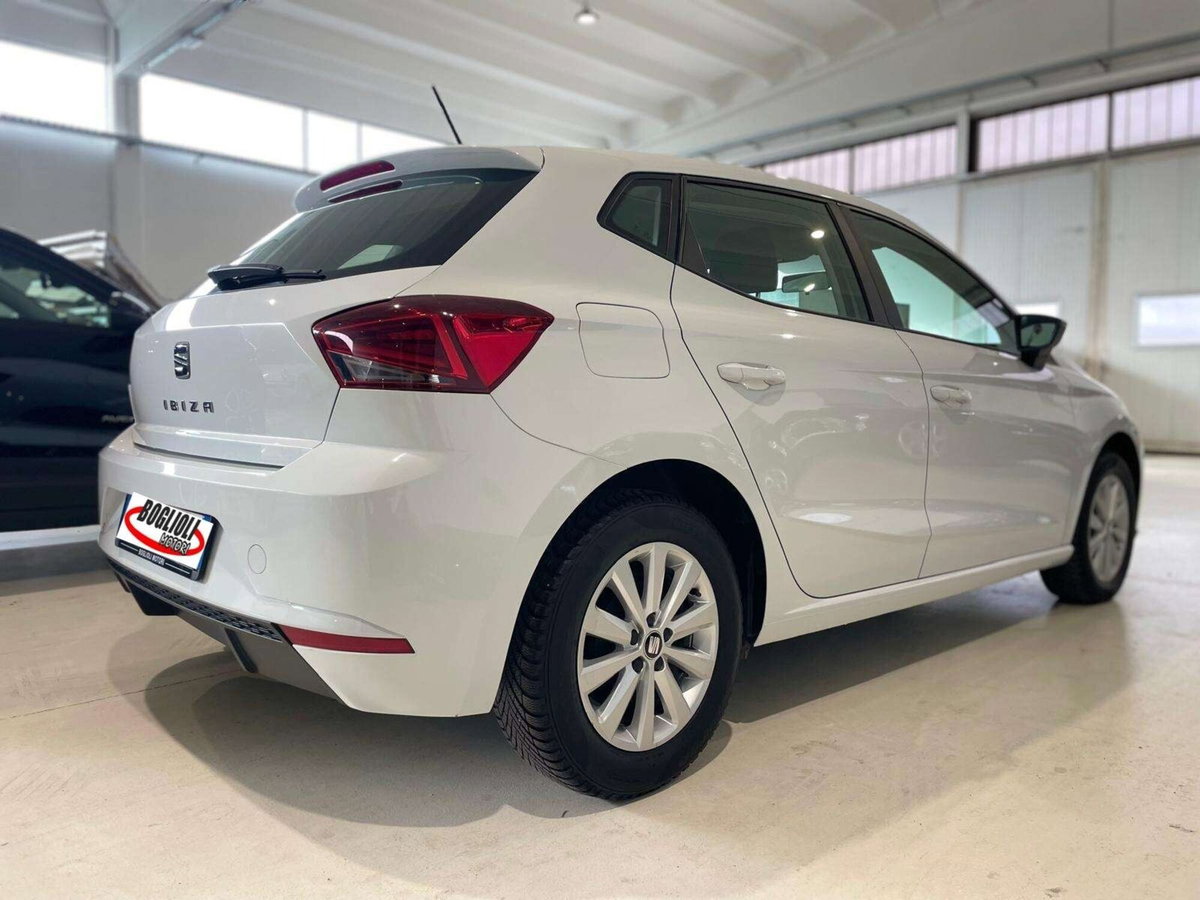 SEAT Ibiza 1.6 TDI 95 CV 5 porte Business (20)