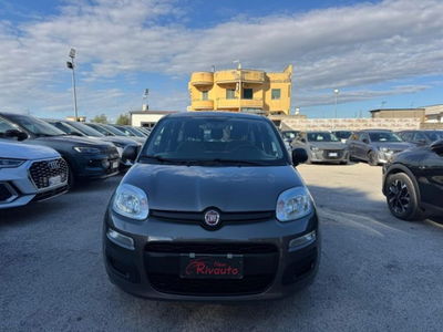 Fiat Panda 1.0 firefly hybrid s&s 70cv usata
