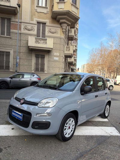 Fiat Panda 1.2 Easy usata