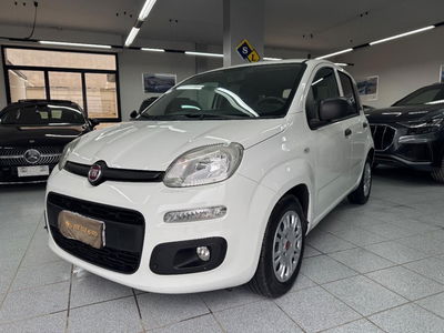Fiat Panda 1.3 MJT 80 CV S&S Lounge usata