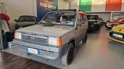 Fiat Panda 4x4 usata