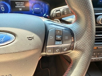 Ford Kuga 1.5 EcoBlue 120 CV 2WD ST-Line (16)