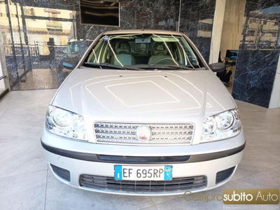 Fiat Punto Classic 1.2 5 porte Active usata