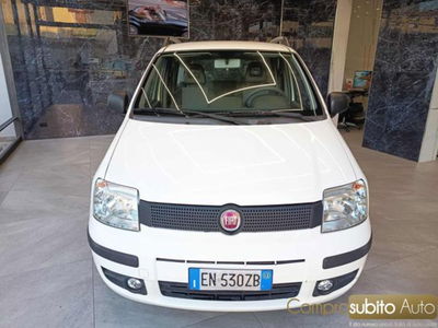 Fiat Panda 1.2 EasyPower usata