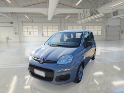 Fiat Panda 1.0 firefly hybrid s&s 70cv 5p.ti usata