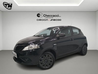 Lancia Ypsilon 1.2 69 CV 5 porte GPL Ecochic Elefantino Blu usata