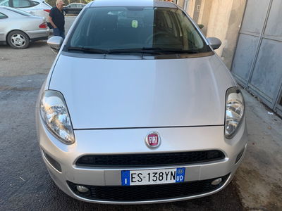 Fiat Punto 1.2 8V 5 porte Street usata