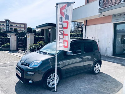 Fiat Panda 1.0 FireFly S&S Hybrid City Cross usata