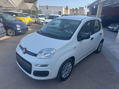 Fiat Panda 1.2 Easy usata