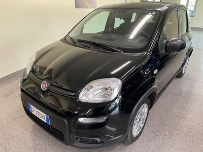 Fiat Panda Cross Cross 1.0 FireFly S&S Hybrid usata