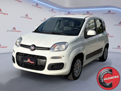 Fiat Panda 1.2 Lounge usata