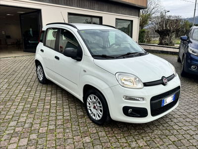 Fiat Panda 1.2 EasyPower Easy usata