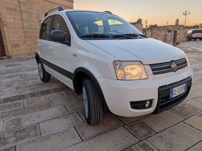 Fiat Panda 1.2 4x4 Glam usata