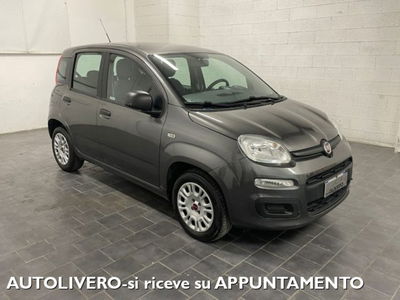 Fiat Panda 1.2 Easy usata